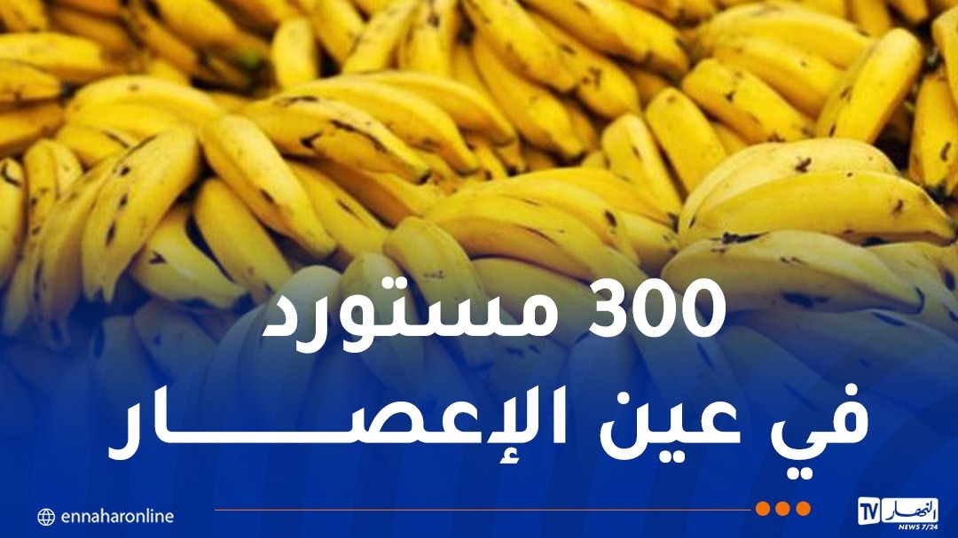 تحقيقات واسعة للإطاحة ببارونات 'البنان'