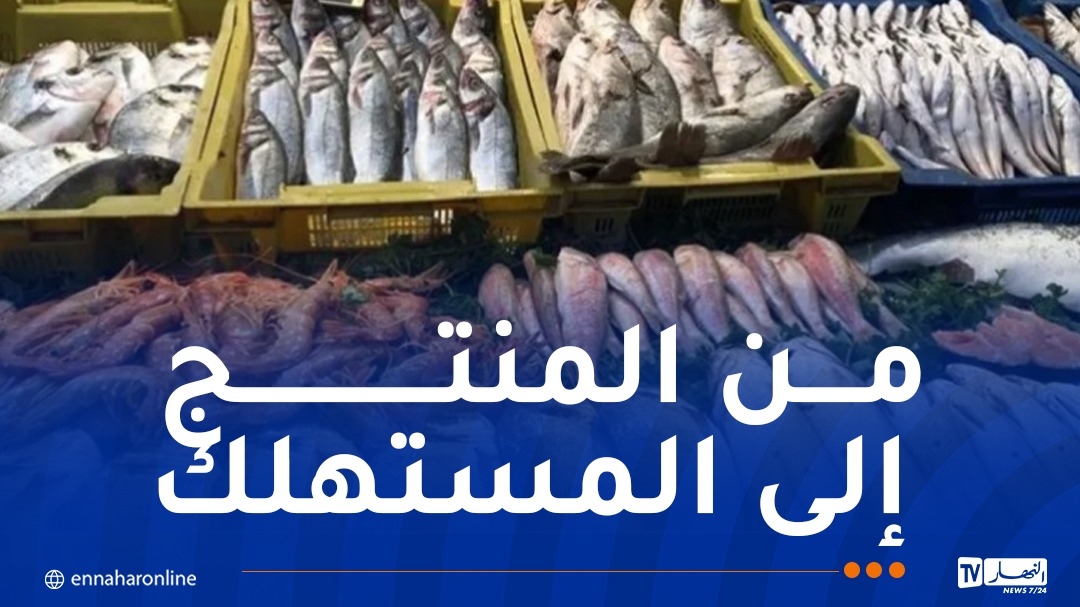 أكثر من 200 نقطة بيع لمنتجات الصيد البحري