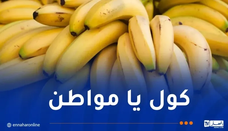'البنان' بـ250 ديناراً بداية من هذا الأربعاء