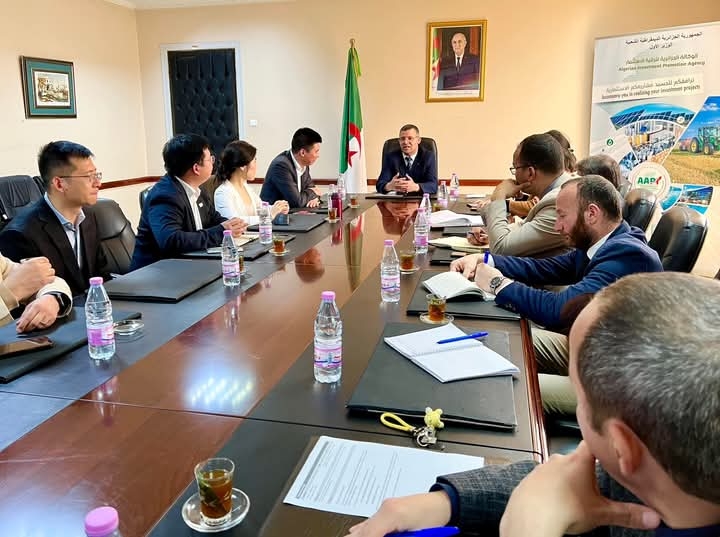 الرائد في الطاقات المتجددة 'LONGI' يبدي اهتمامه بتجسيد مشروع لصناعة الألواح الشمسية في الجزائر