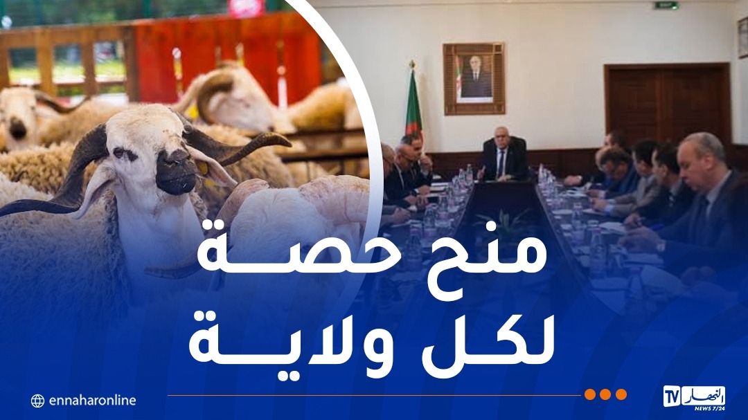 نقاط بيع أضاحي العيد وطريقة الشراء..وزير الفلاحة يعطي التفاصيل