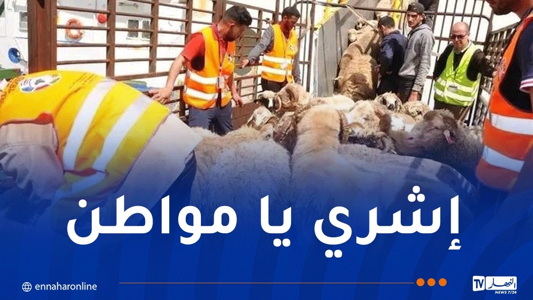 انطلاق عمليات توزيع الأضاحي عبر الولايات والبيع الأسبوع المقبل في نقاط حرة