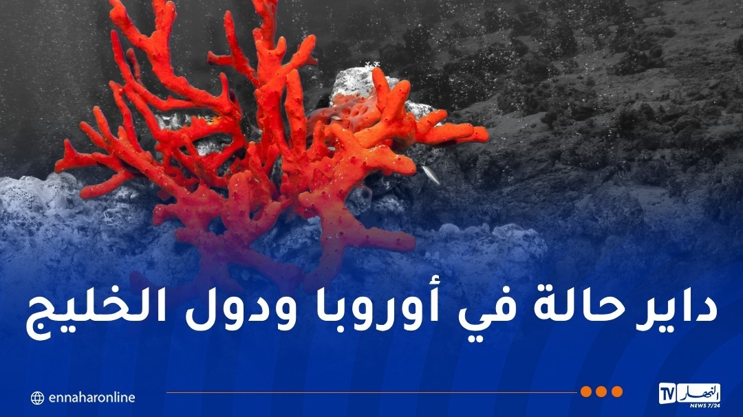 تسميم الجزائريين بمنتجات مستوردة 'بيريمي' مقابل تهريب المرجان