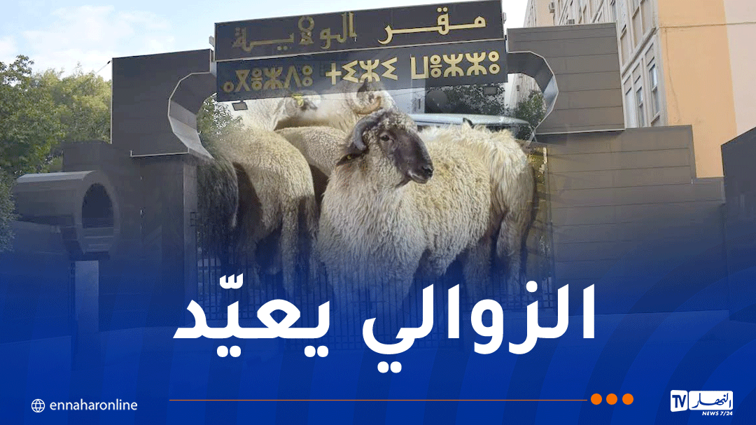 تيزي وزو.. هذه تفاصيل بيع الأضاحي المستوردة للمواطنين بداية من الغد