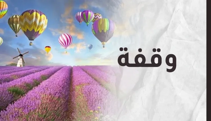 قوانين جميلة لحياة أجمل..