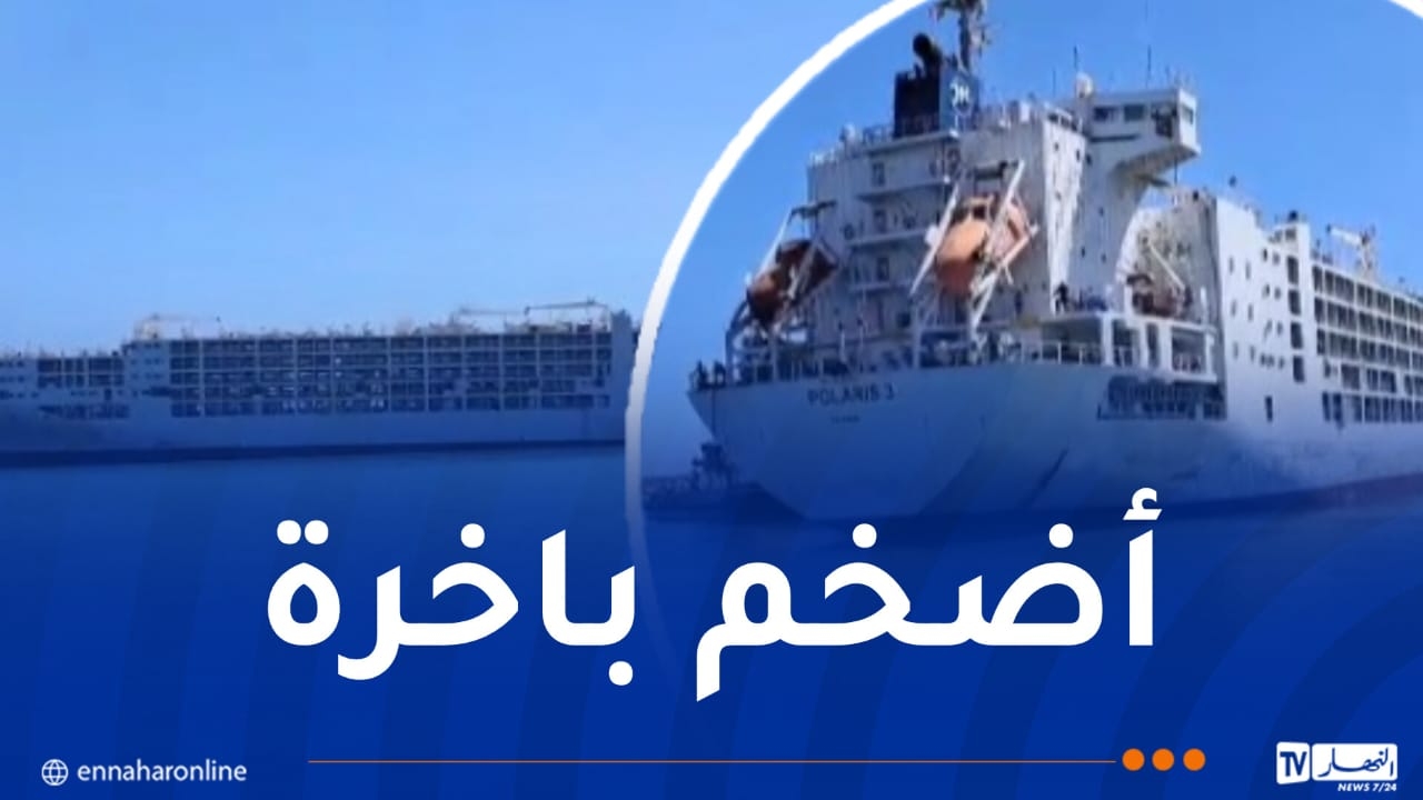 وصول باخرة محملة بـ 34 ألف رأس غنم إلى العاصمة