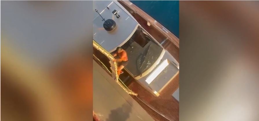 طاقم ناقلة سوناطراك 'بارڨة 2' ينقذ رعية فرنسي قبالة السواحل الإيطالية