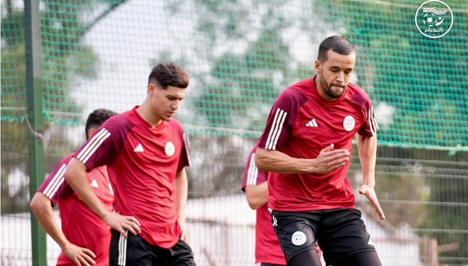 محليو الخُضر يختتمون استعداداتهم لمواجهة جنوب إفريقيا في 'الشان'