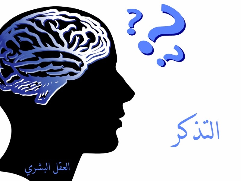 للحفاظ على «عقل سليم وذاكرة حادة»... 4 تصرفات شائعة عليك تجنبها