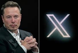 المؤسس المشارك لـ "xAI" التابعة لإيلون ماسك يغادر الشركة