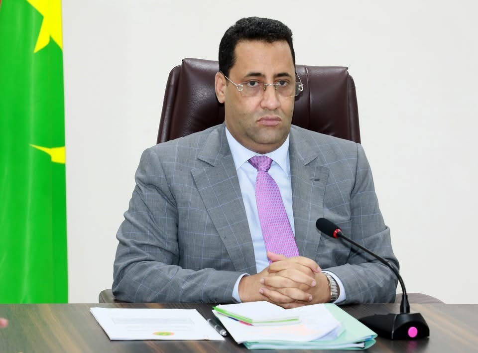 ولد أجاي: الاكتتابات العشوائية تضغط على كتلة الأجور ويجب وقفها