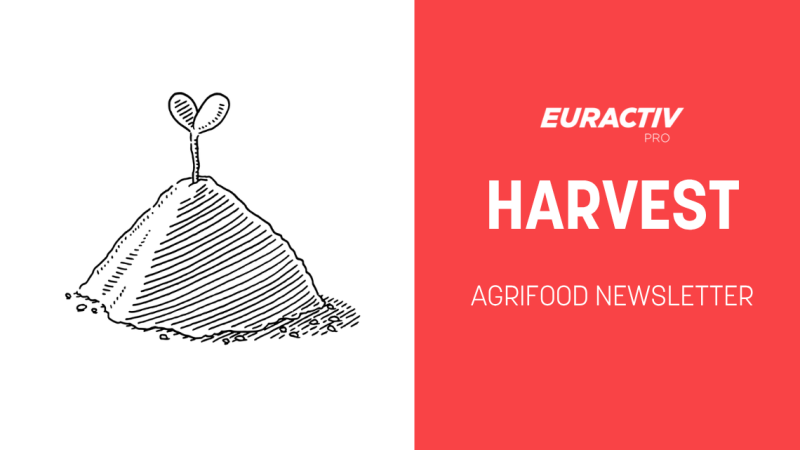HARVEST: The reality of numbers