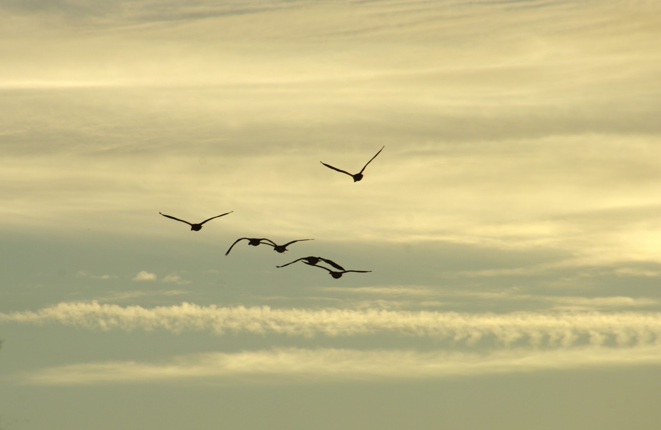 The Brief – Leave the shame for your flight to Rome at the gate