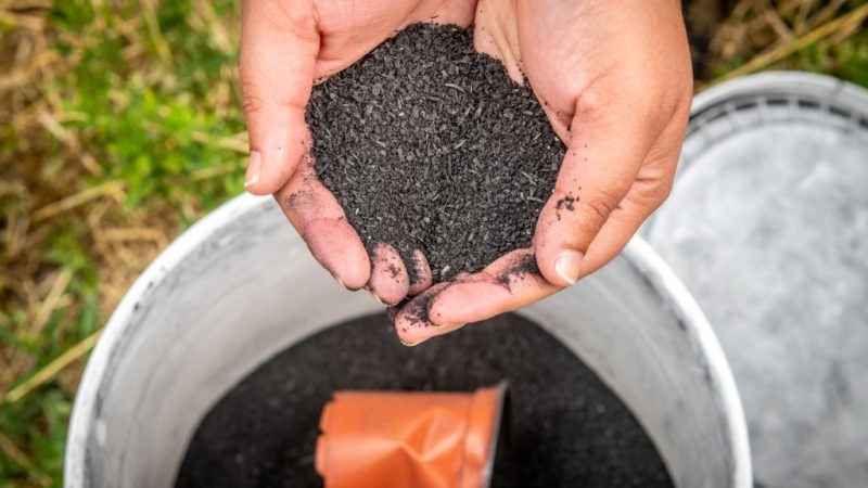 NGOs slam Commission plan to certify biochar as permanent CO2 removal