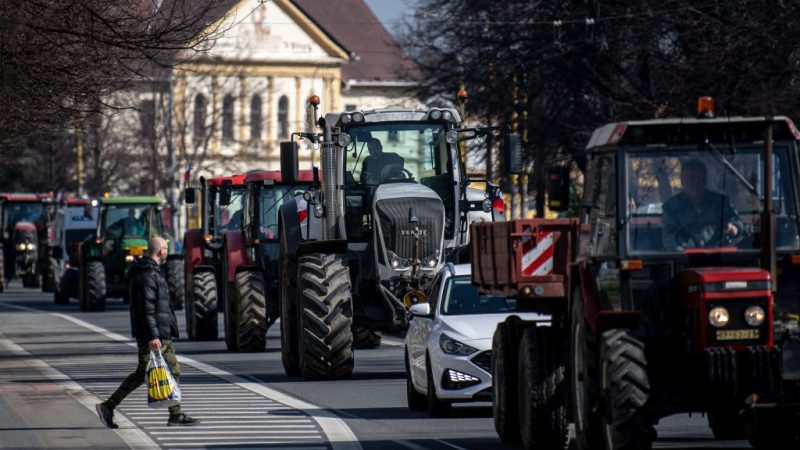 Visegrad farmers call for 30% hike in EU agriculture budget