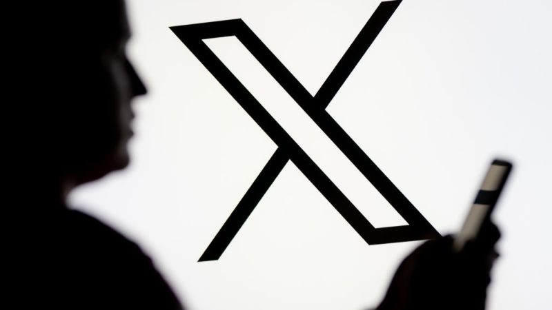 Top Irish court says porn age checks on X don't breach EU digital rules