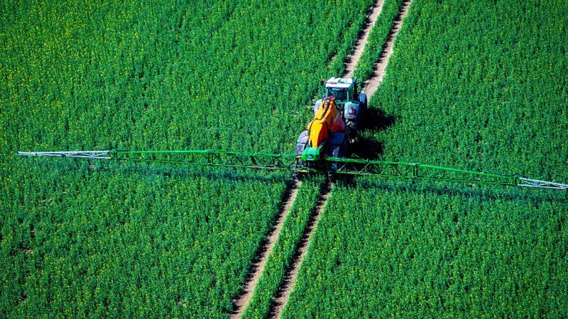 Denmark to phase out pesticides containing ‘forever chemicals'