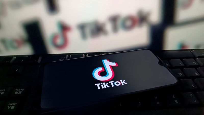 Why an EU-wide ban on TikTok is tricky
