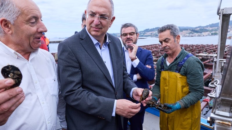 Commission's EU budget plan delivers major blow to fisheries