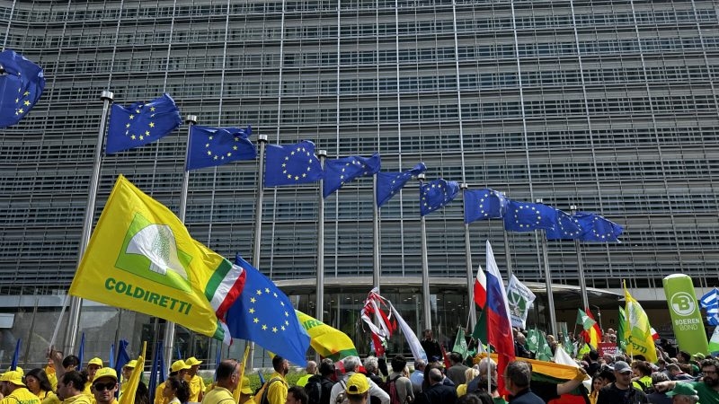 Farmers fume as EU budget slashes agricultural funds