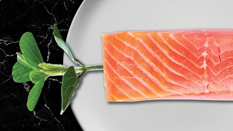 Fish joins meat in fray over veggie food