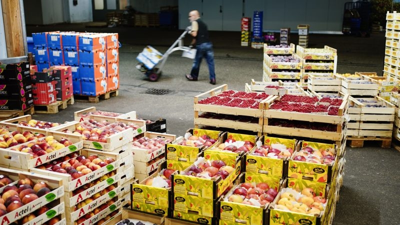 Commission targets reform of its food chain rules in 2026