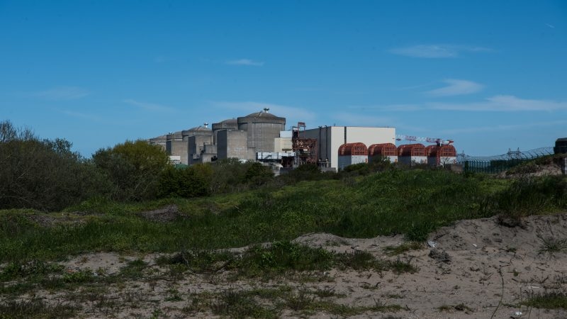 Jellyfish force French reactor shutdowns, strain grid