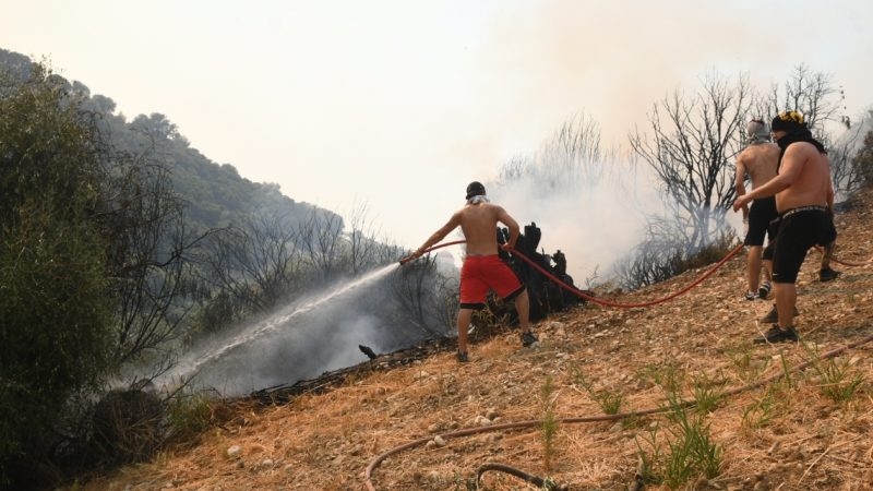 Greek firefighters make progress against wildfires