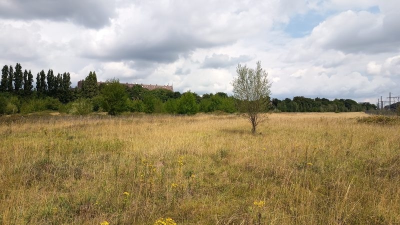 The battle for Brussels' biodiversity hotspot