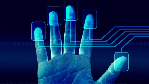 Poland and Thailand set for palm payment rollouts