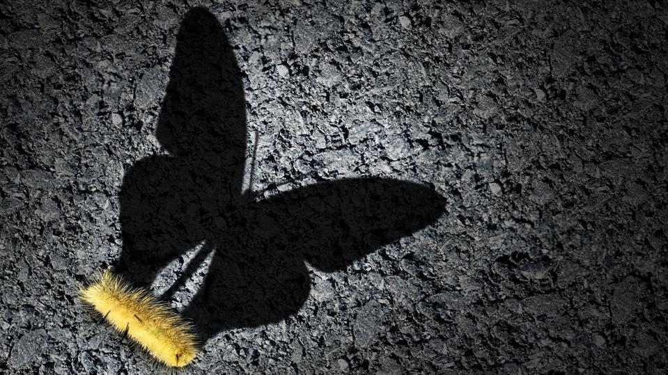 Navigating Health Insurance After Job Loss: Is Short-Term Coverage Right For You?