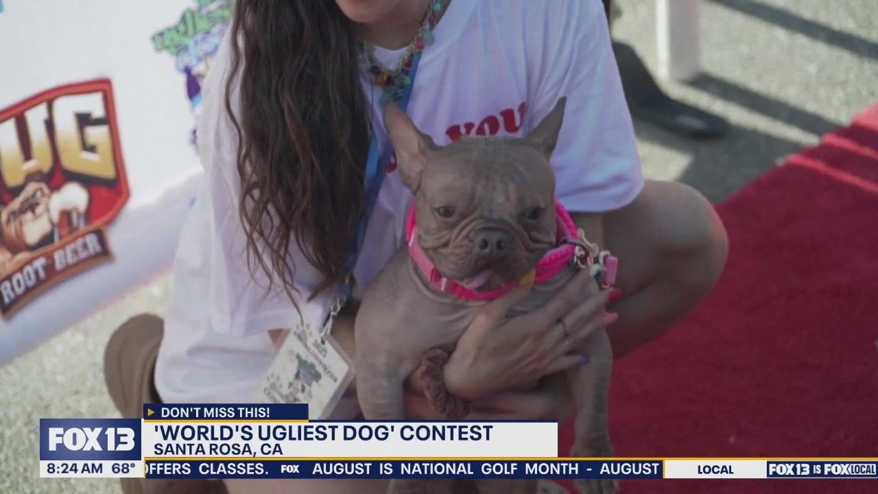 Winner of the 2025 'World's Ugliest Dog' contest is crowned: Meet Petunia