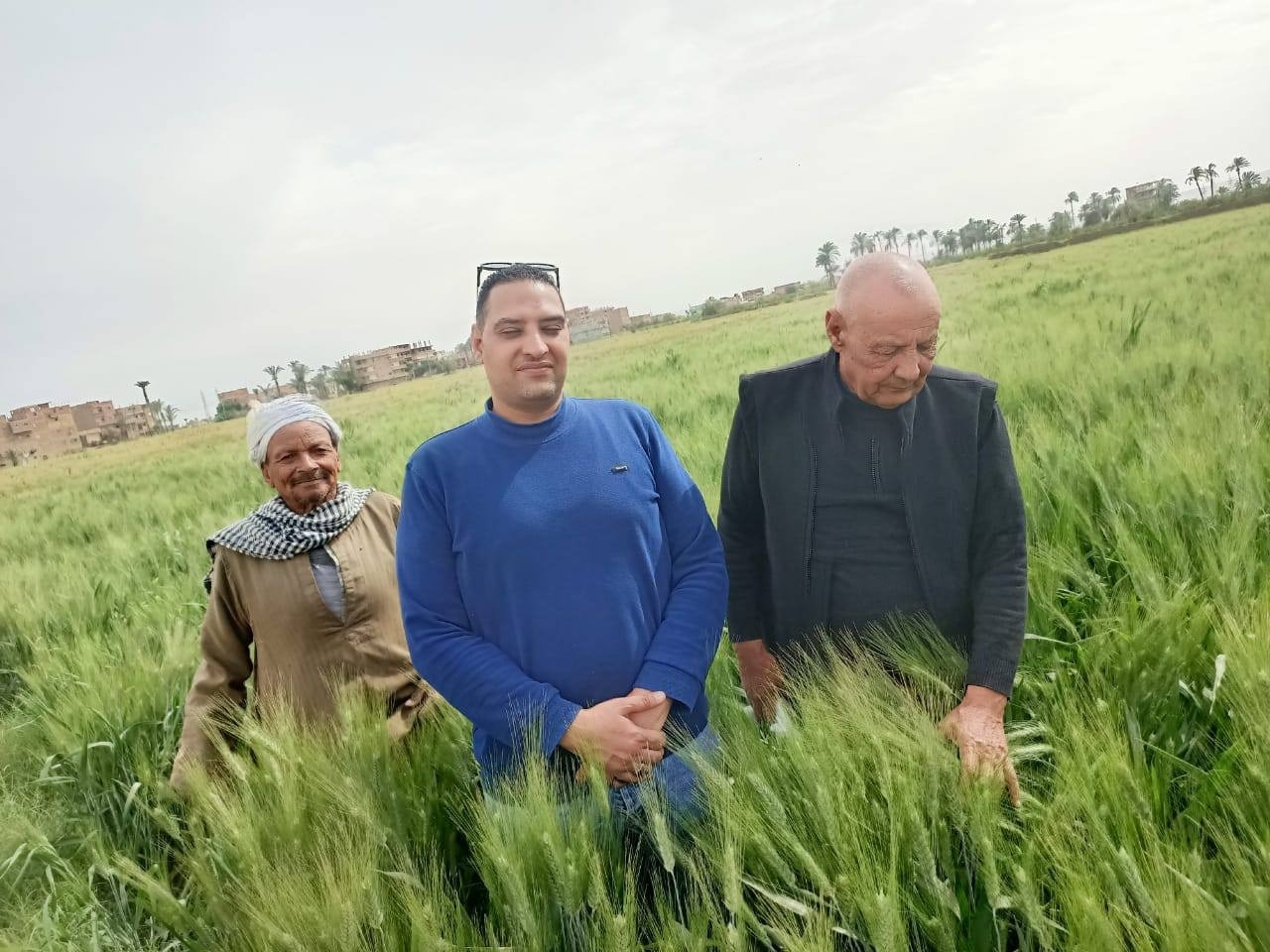 محافظ أسيوط: متابعة إنتاجية المحاصيل الزراعية خلال أيام عيد الفطر