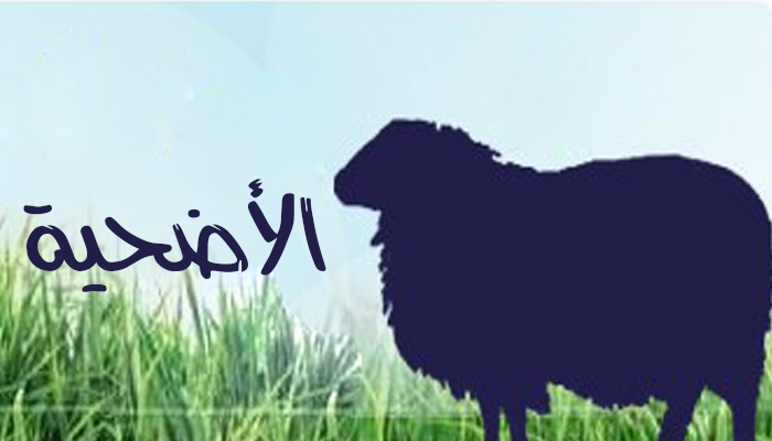 هل تعلم متى شُرعت الأضحية وما الحكمة منها؟