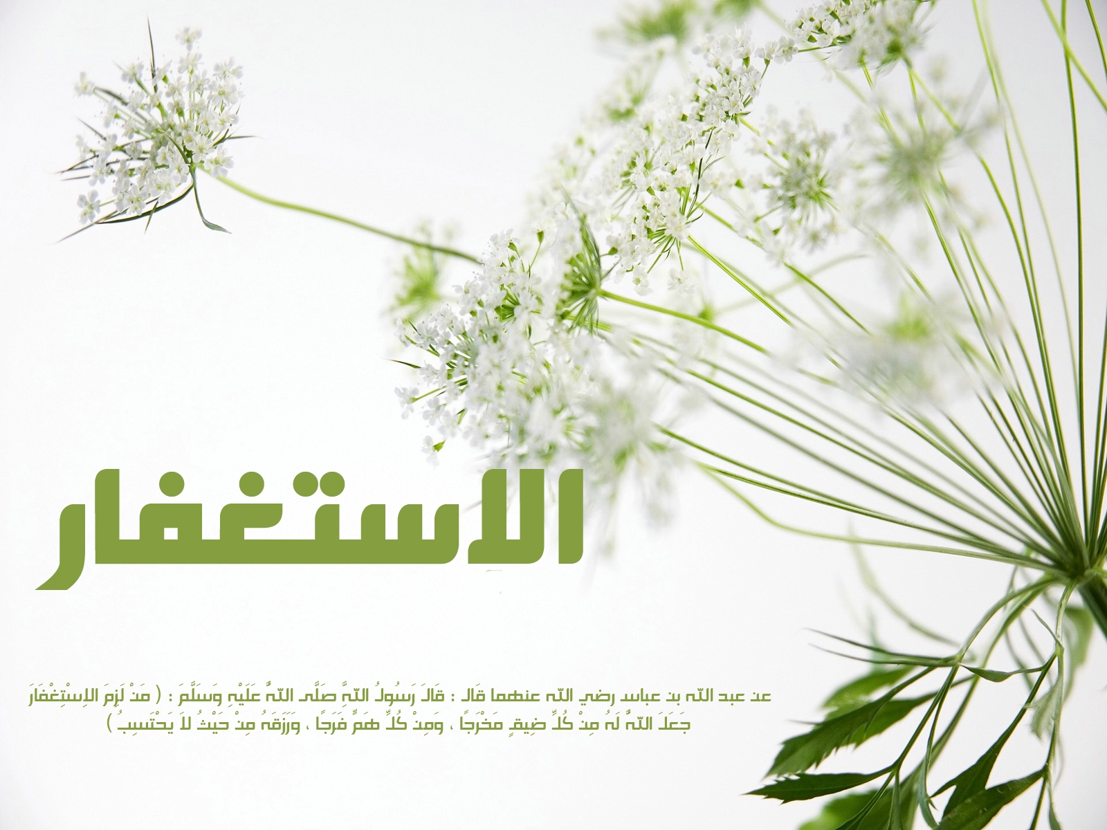 من الذى يلهمه الله الإستغفار !!
