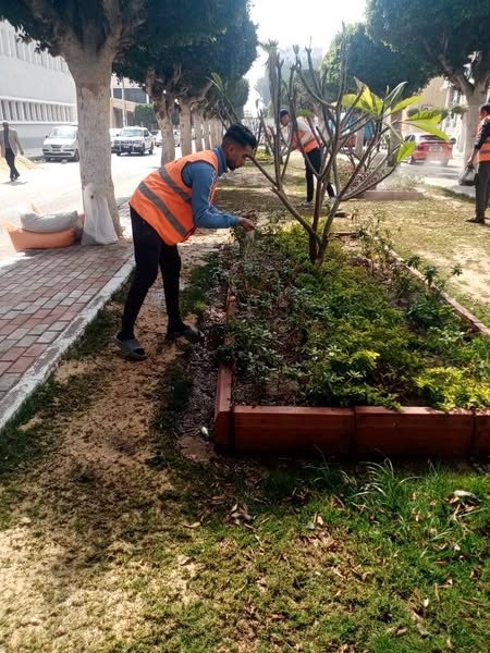 رفع كفاءة الطريق السياحية بالإسماعيلية..صور