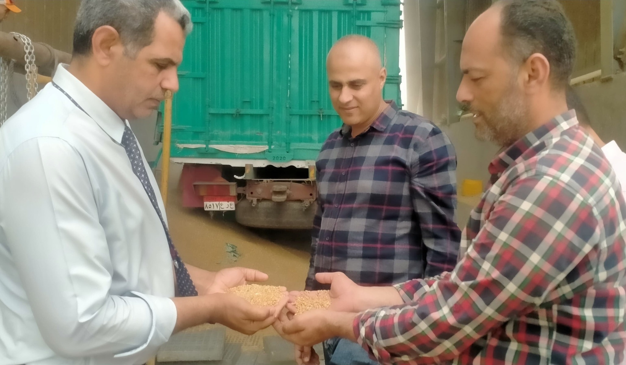 ضبط ٣٤ طن قمح داخل محلات أعلاف ومخازن بالبحيرة
