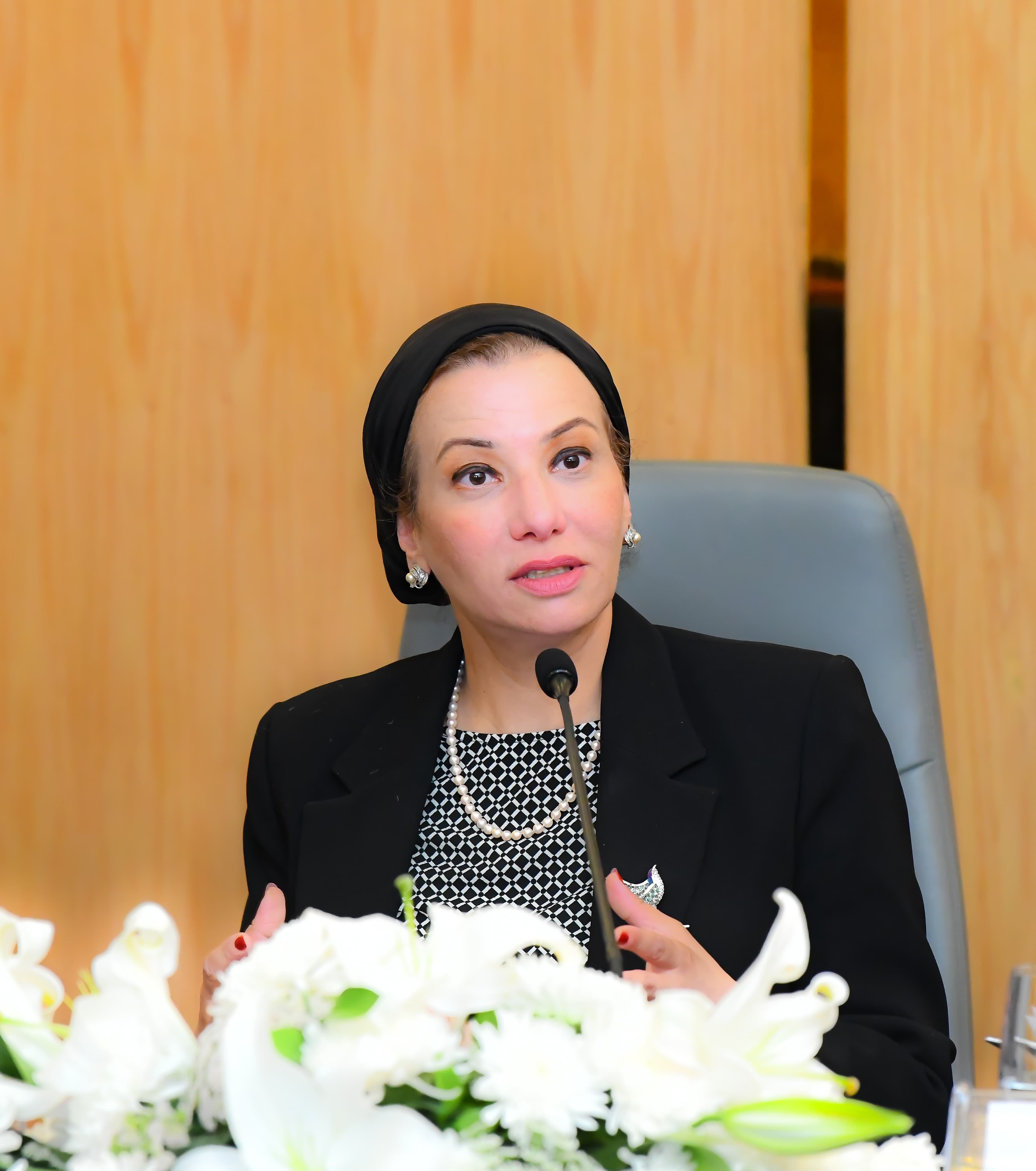 وزيرة البيئة تترأس اجتماع تحويل النظم المالية من أجل المناخ في مصرTFSC