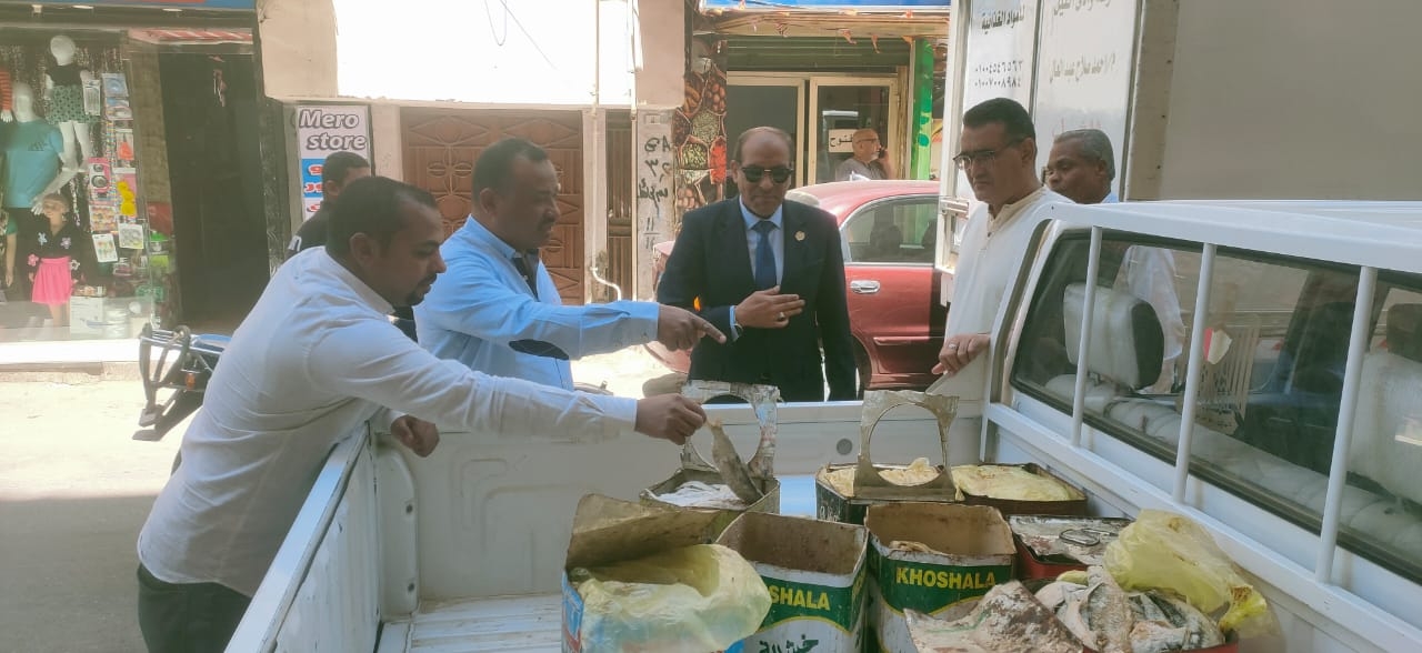ضبط ربع طن أسماك مملحة وفسيخ غير صالحة للاستهلاك الآدمى بالأقصر