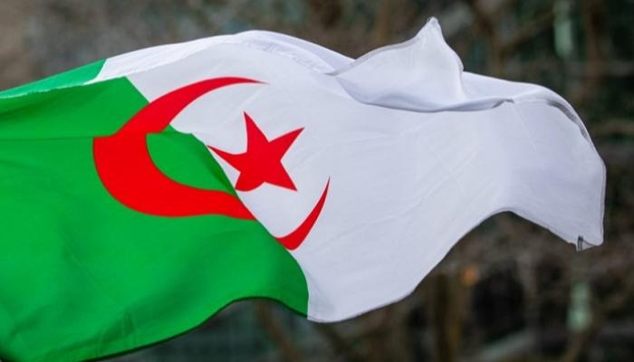الجزائر تبحث مع إيطاليا مشروع الربط الكهربائي المباشر