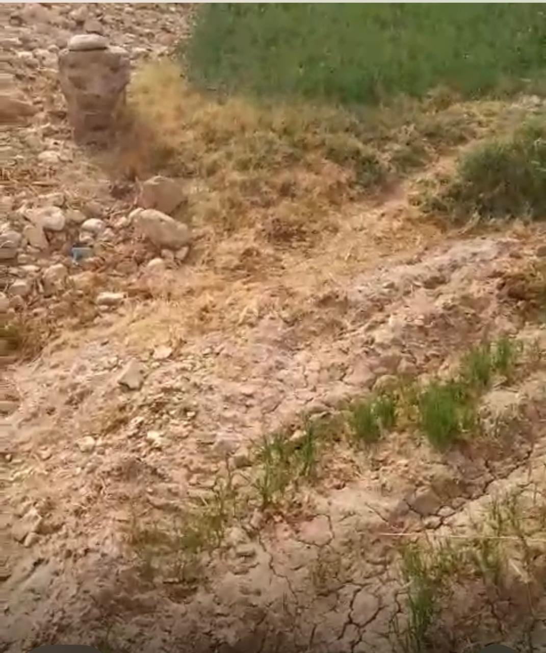 مزارعو الظهير الصحراوي بأبنوب يستغيثون بفخامة الرئيس