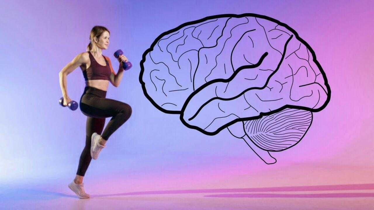 كيف تؤثر التمارين الرياضية على الدماغ؟