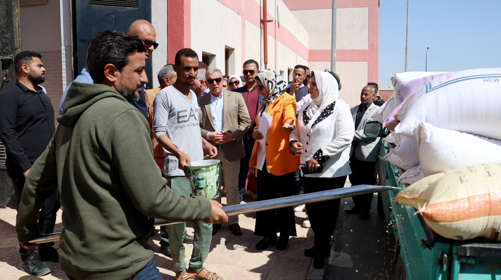 الإسماعيلية تبدأ حصاد القمح بتخزين مميكن وأسعار تنافسية..صور