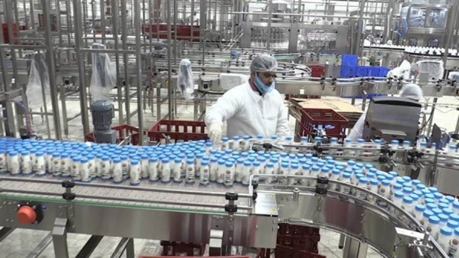 وزير الزراعة: 30 مليار جنيه لدعم الأسمدة وتطوير 250 مركزًا لتجميع الألبان