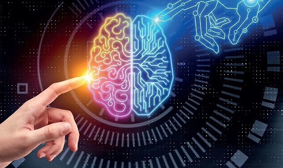 الحوسبة البيولوجية.. تحول الكائنات الحية إلي "آلات" ذكية قادرة عل