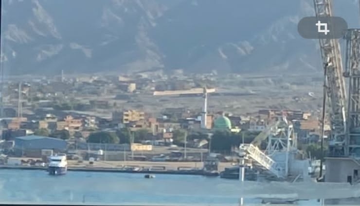 وصول 1057 رأس عجول حية لميناء سفاجا قادمة من جيبوتي