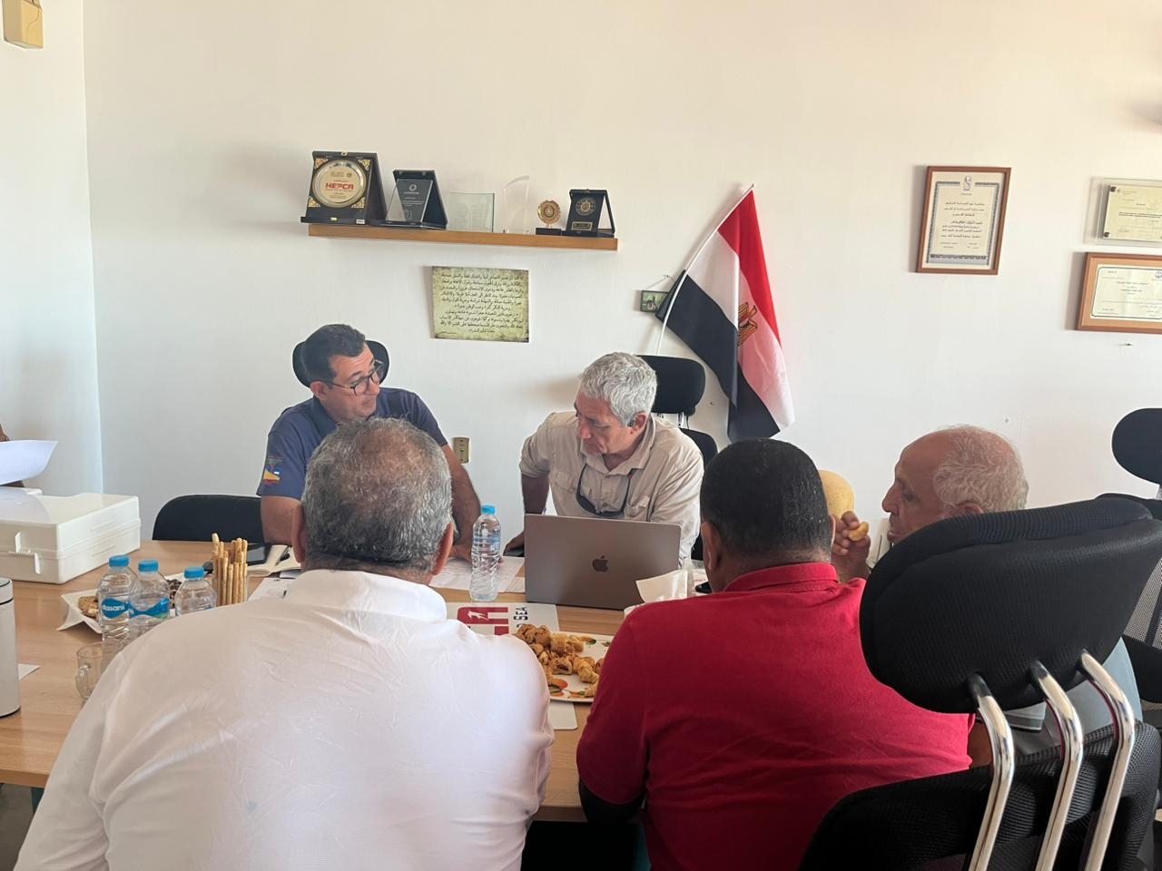 مصر تستأنف رصد اسماك القرش بالأقمار الصناعية