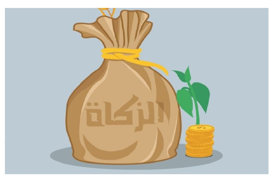 الأقصر تطرح المزرعة النموذجية للإستثمار لتحقيق الإكتفاء الذاتى