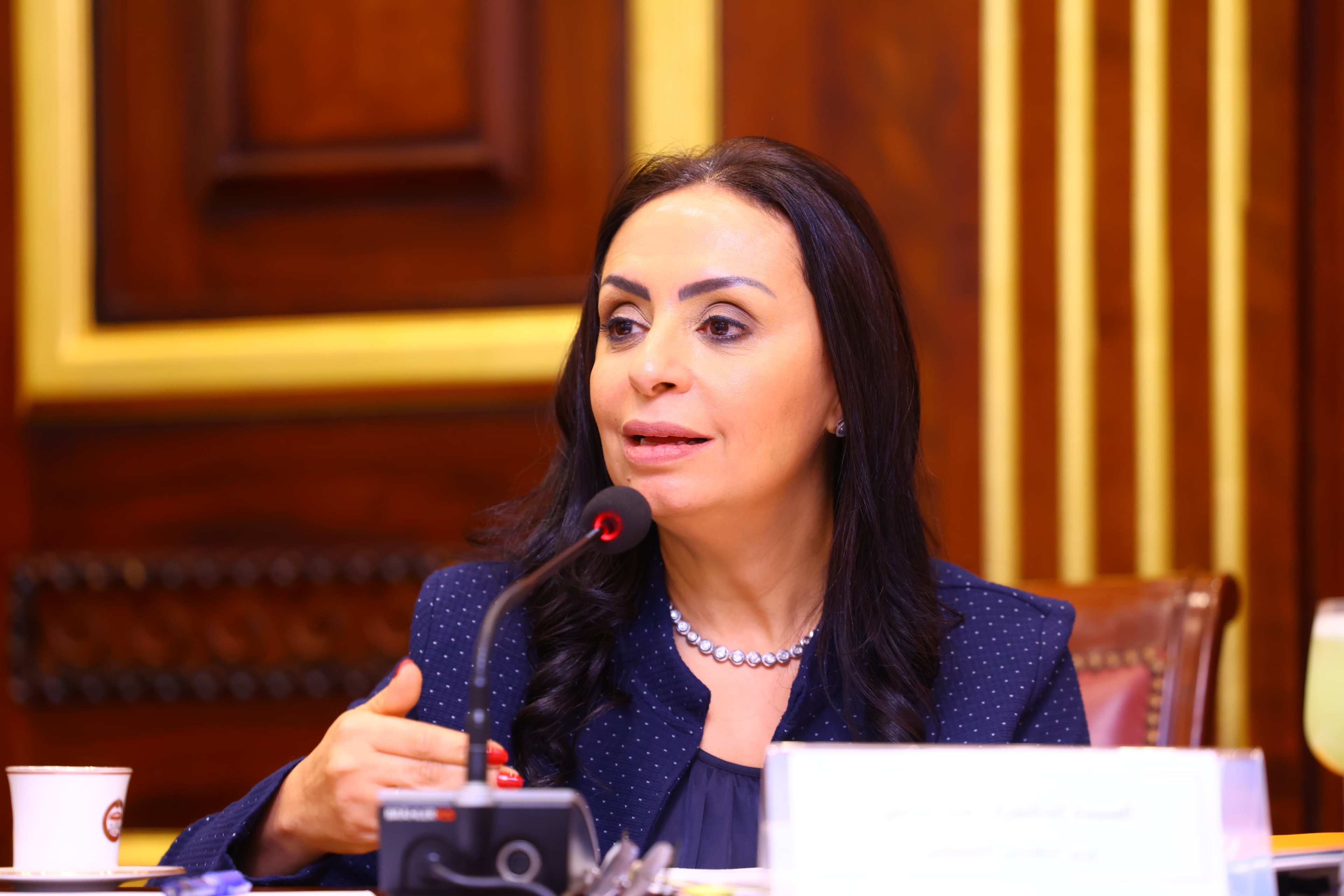 خلال اجتماع لجنة المشروعات بمجلس النواب