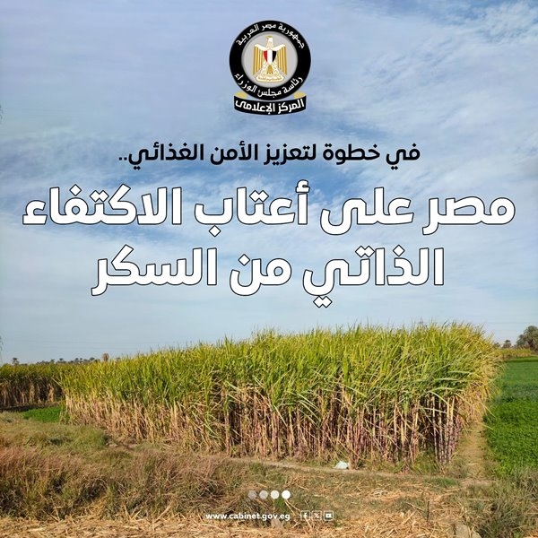 الحكومة: مصر لن تكون بحاجة لاستيراد السكر بدءًا من 2026